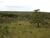 Chácara, 1 quarto, 2 hectares - Foto 2