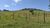 Fazenda, 300 hectares - Foto 5
