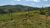 Fazenda, 300 hectares - Foto 3