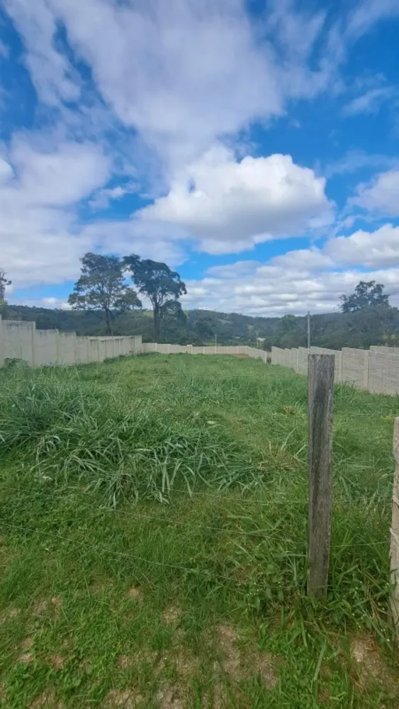 Terreno, 1000 m² - Foto 3