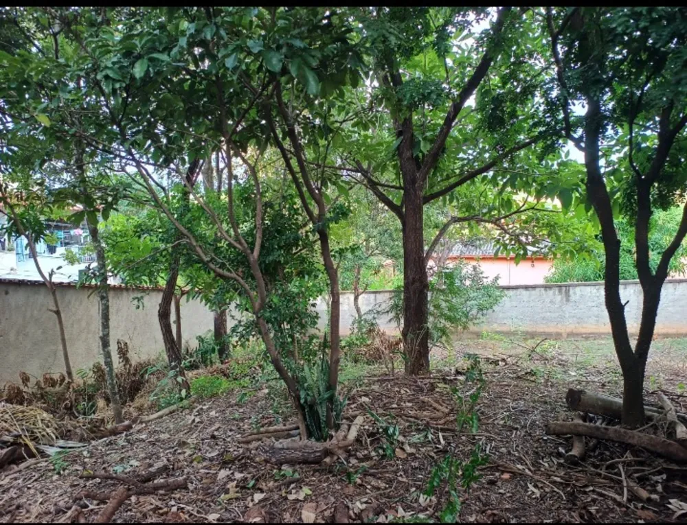 Terreno, 1000 m² - Foto 5