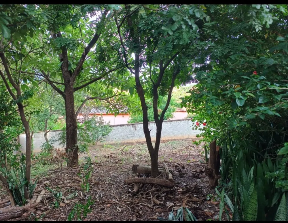 Terreno, 1000 m² - Foto 4