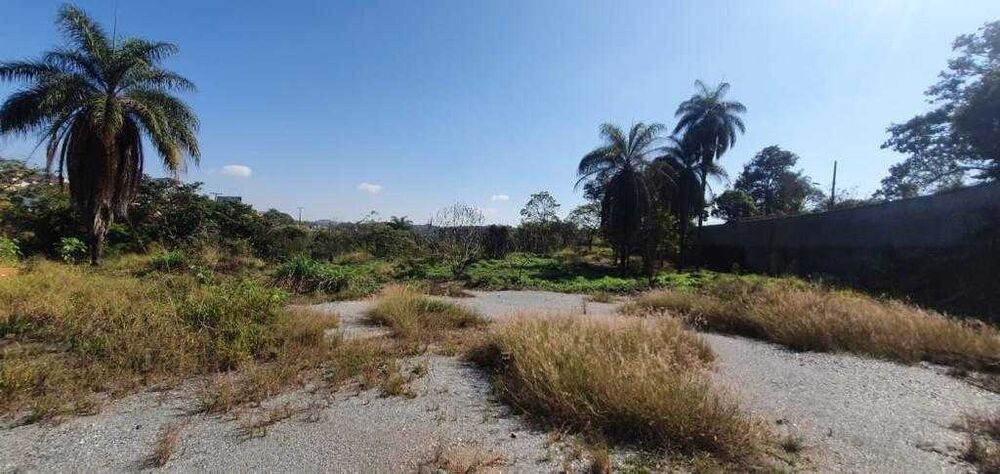 Terreno à venda, 5000m² - Foto 2