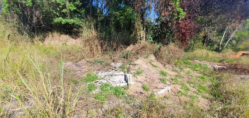 Terreno à venda, 5000m² - Foto 3