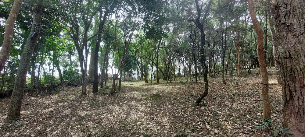 Terreno, 659 m² - Foto 9
