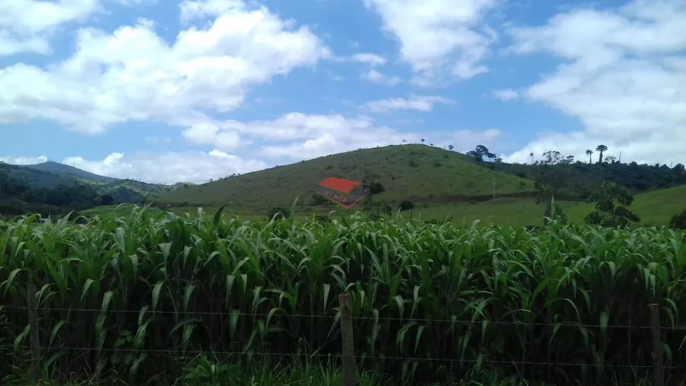 Chácara à venda com 1 quarto, 1000m² - Foto 2