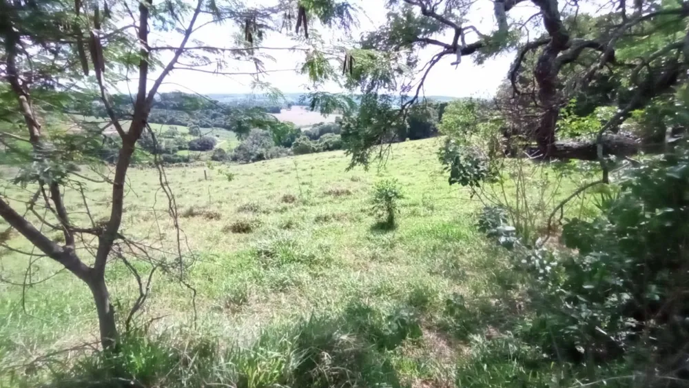 Chácara, 1 quarto - Foto 3