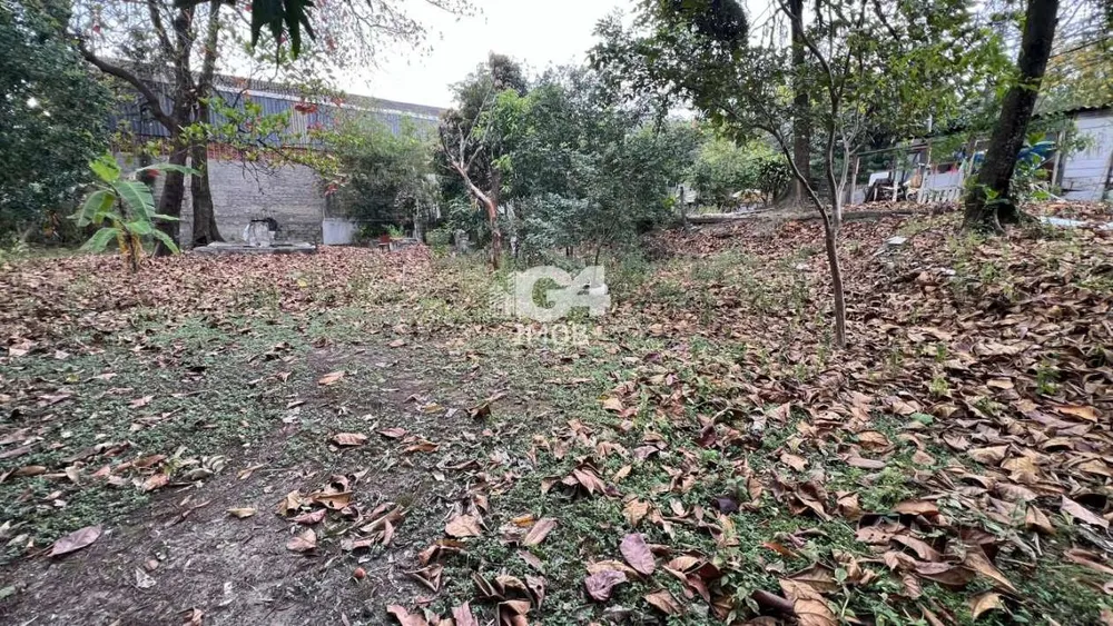 Terreno, 1200 m² - Foto 6