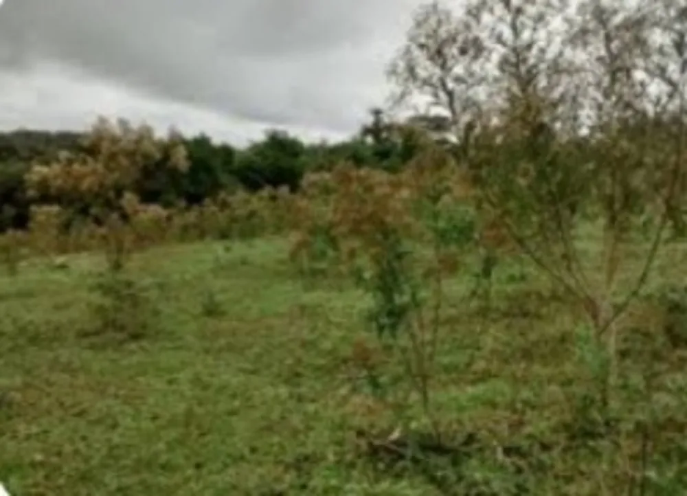 Fazenda, 1 quarto - Foto 3