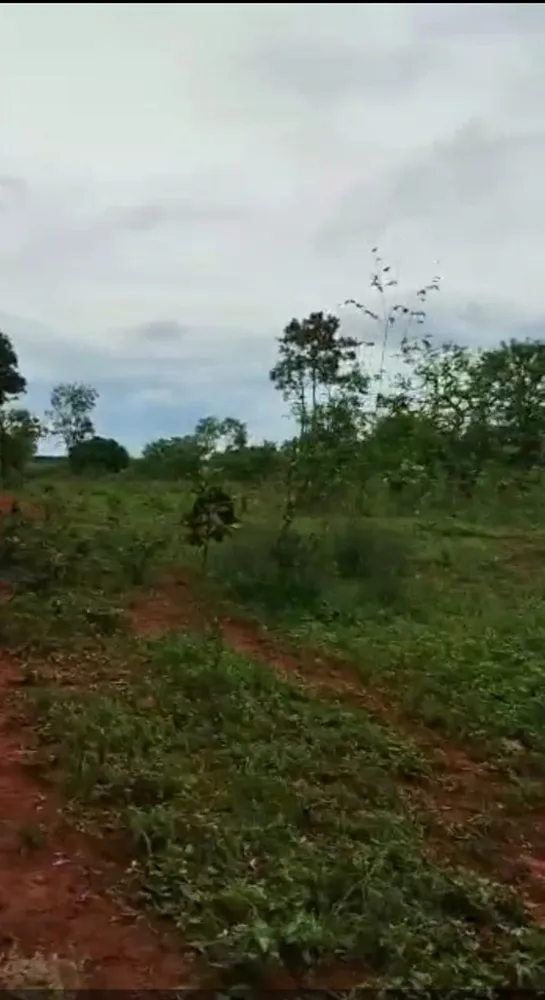 Fazenda, 1 quarto - Foto 10