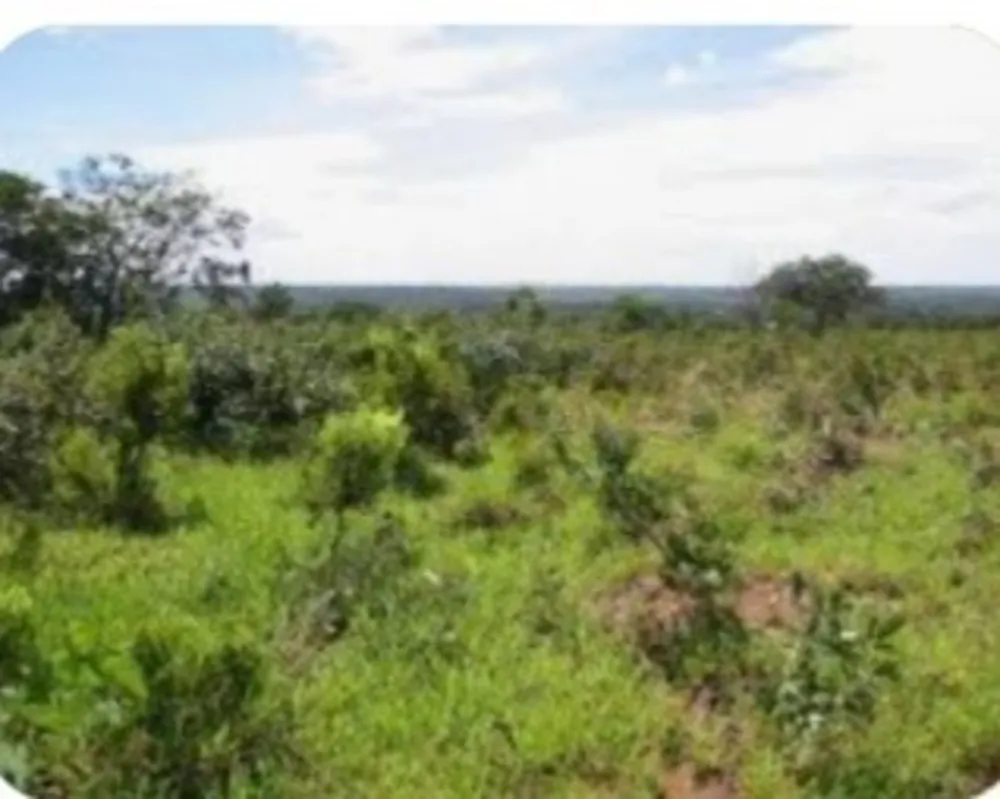Fazenda, 1 quarto - Foto 2