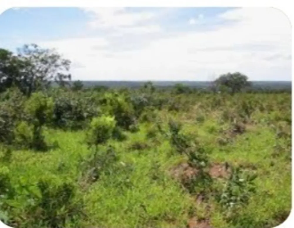 Fazenda, 1 quarto - Foto 1