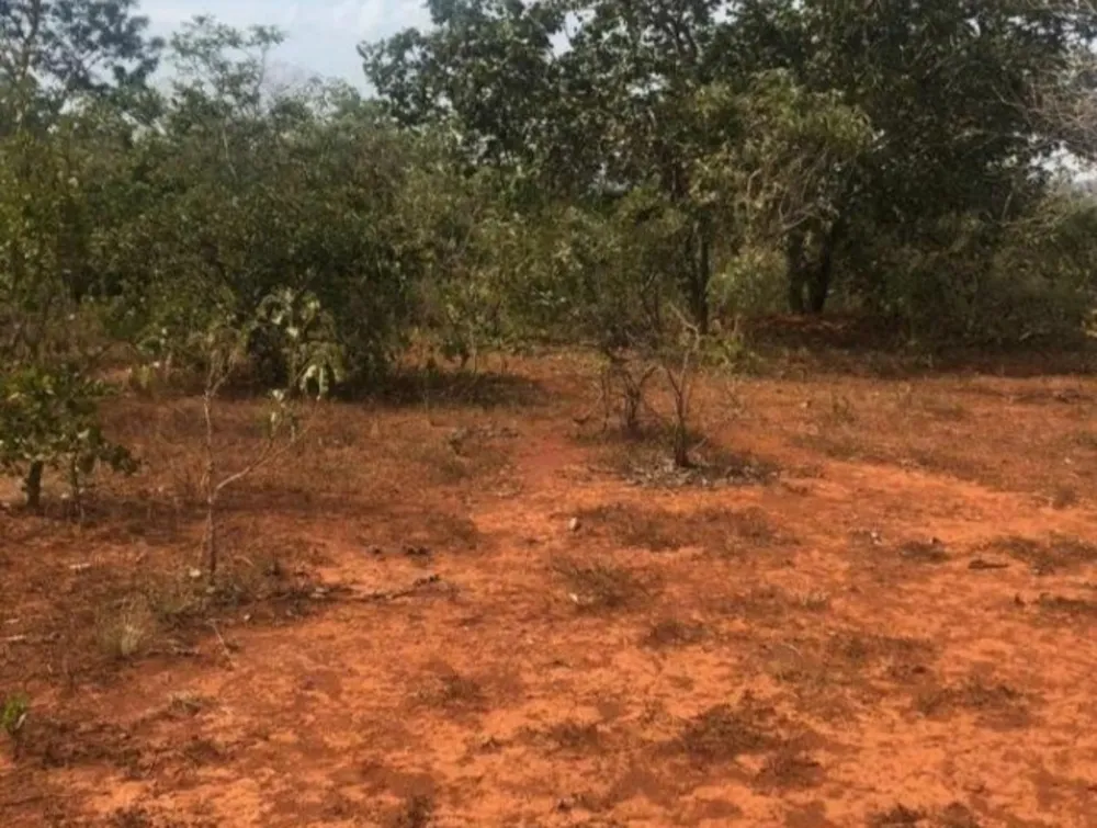 Fazenda, 1 quarto - Foto 6