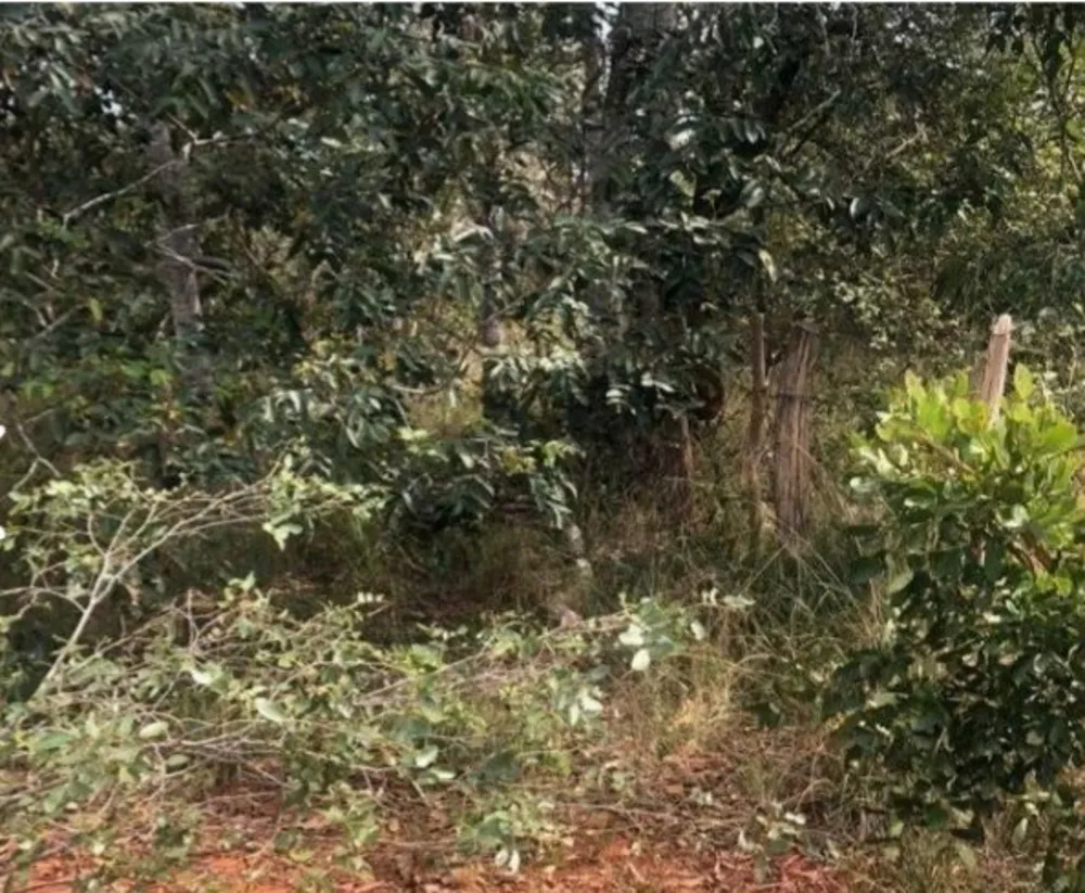 Fazenda, 1 quarto - Foto 13