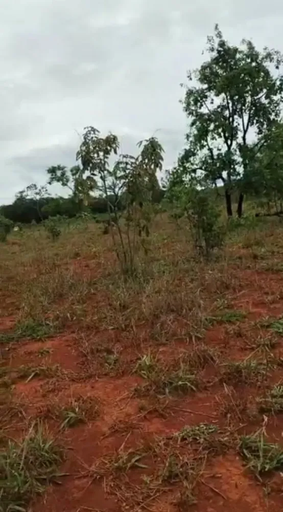 Fazenda, 1 quarto - Foto 5