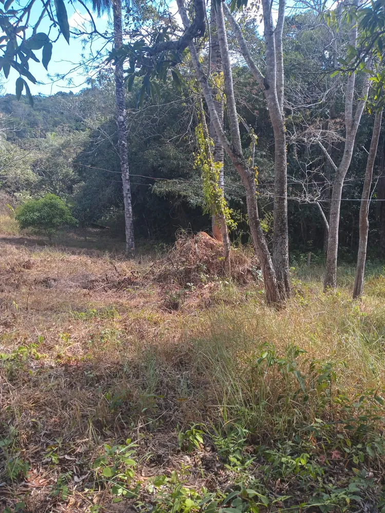 Fazenda, 3 quartos - Foto 8