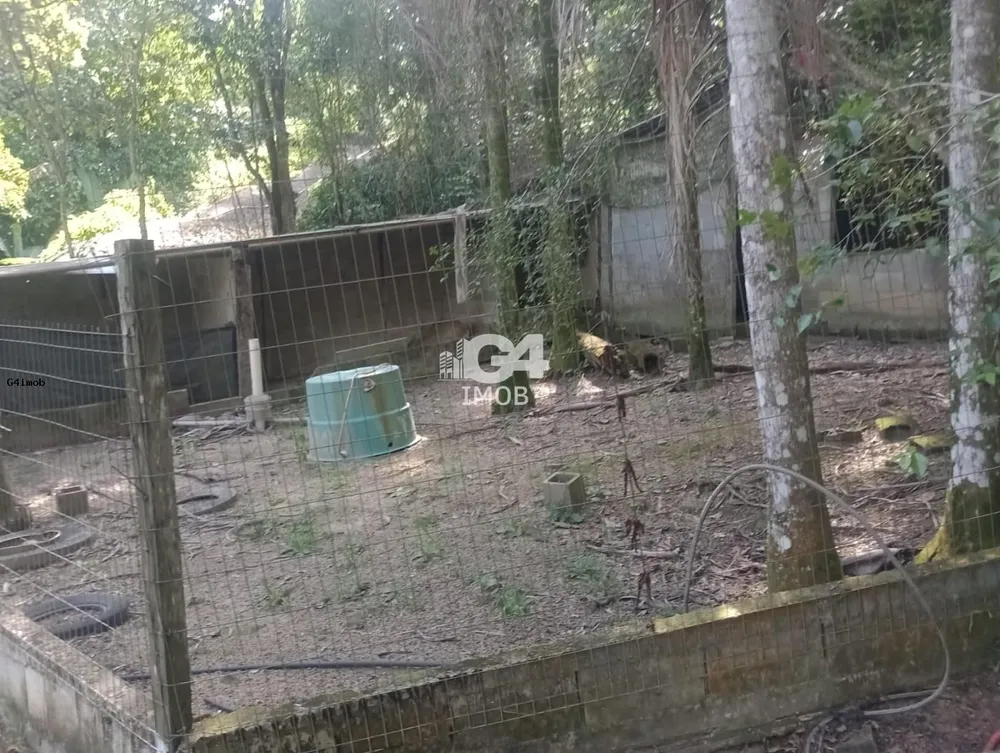 Terreno, 4 hectares - Foto 15