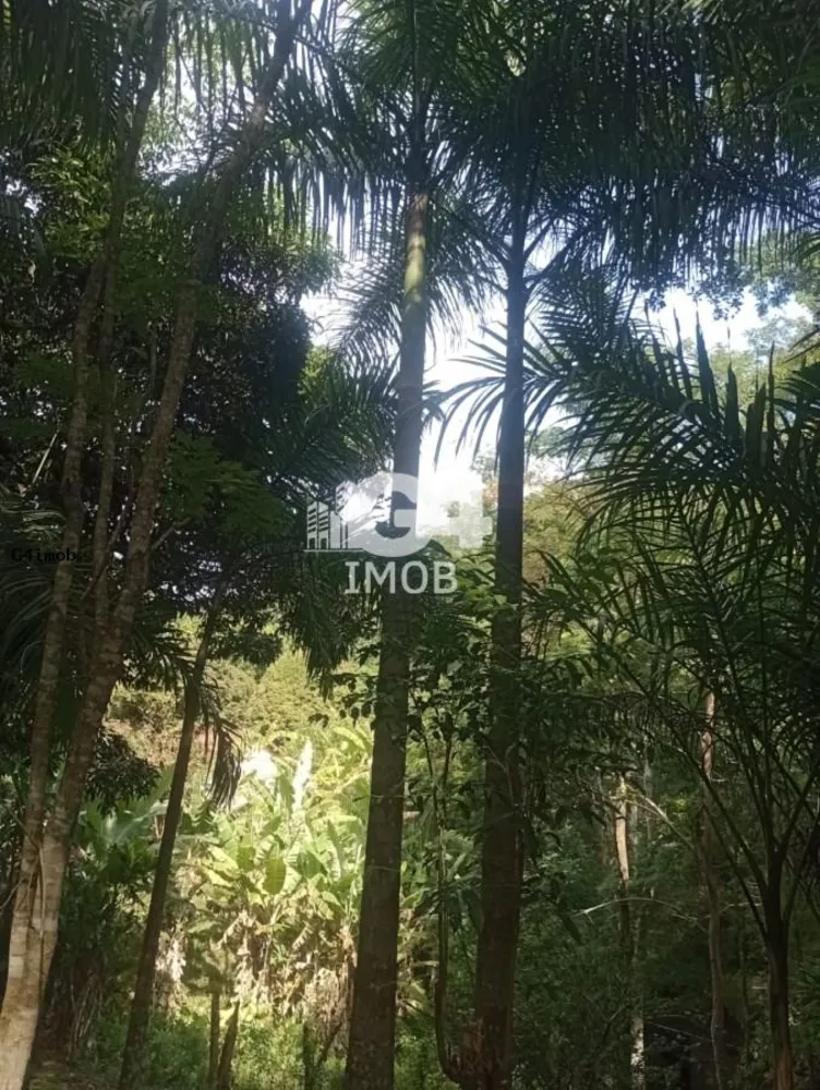 Terreno, 4 hectares - Foto 4