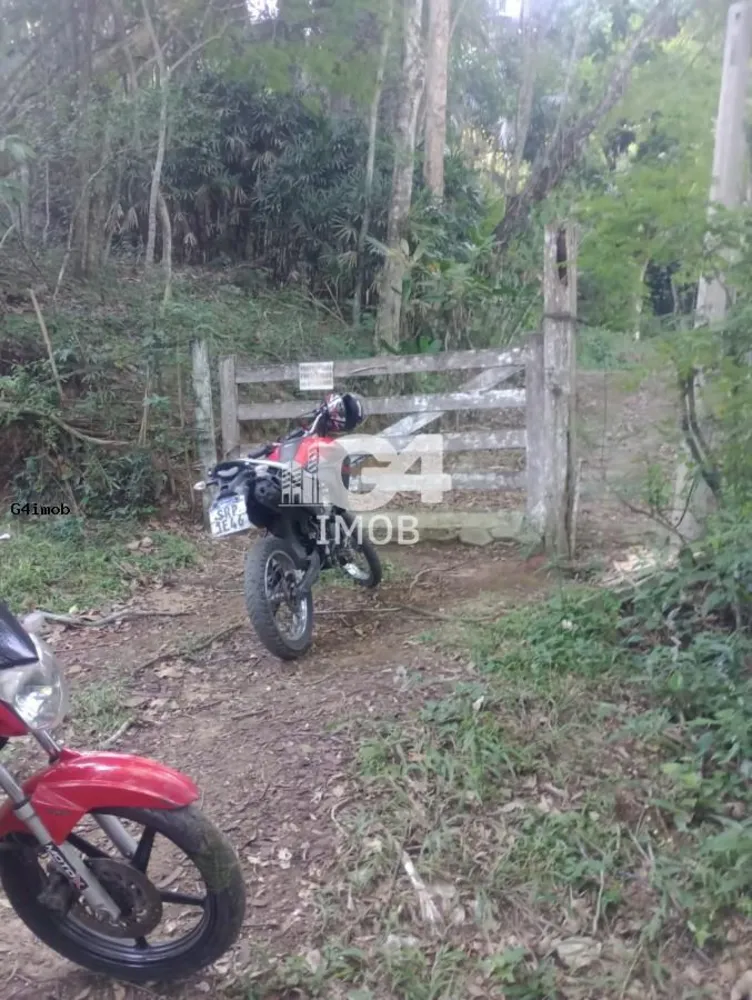 Terreno, 4 hectares - Foto 6
