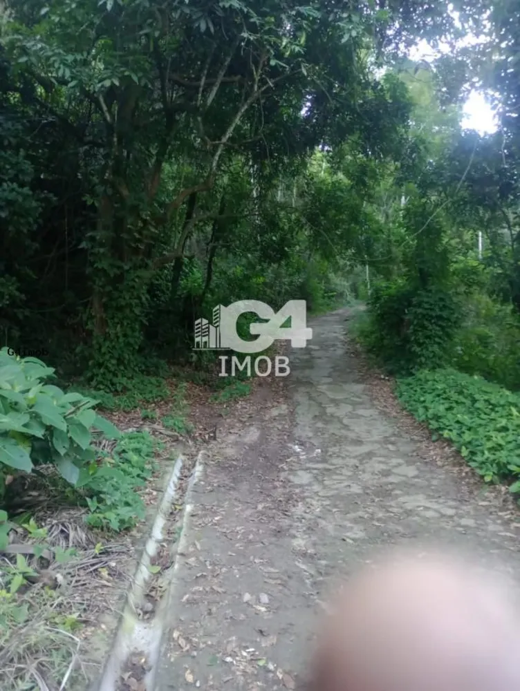 Terreno, 4 hectares - Foto 12