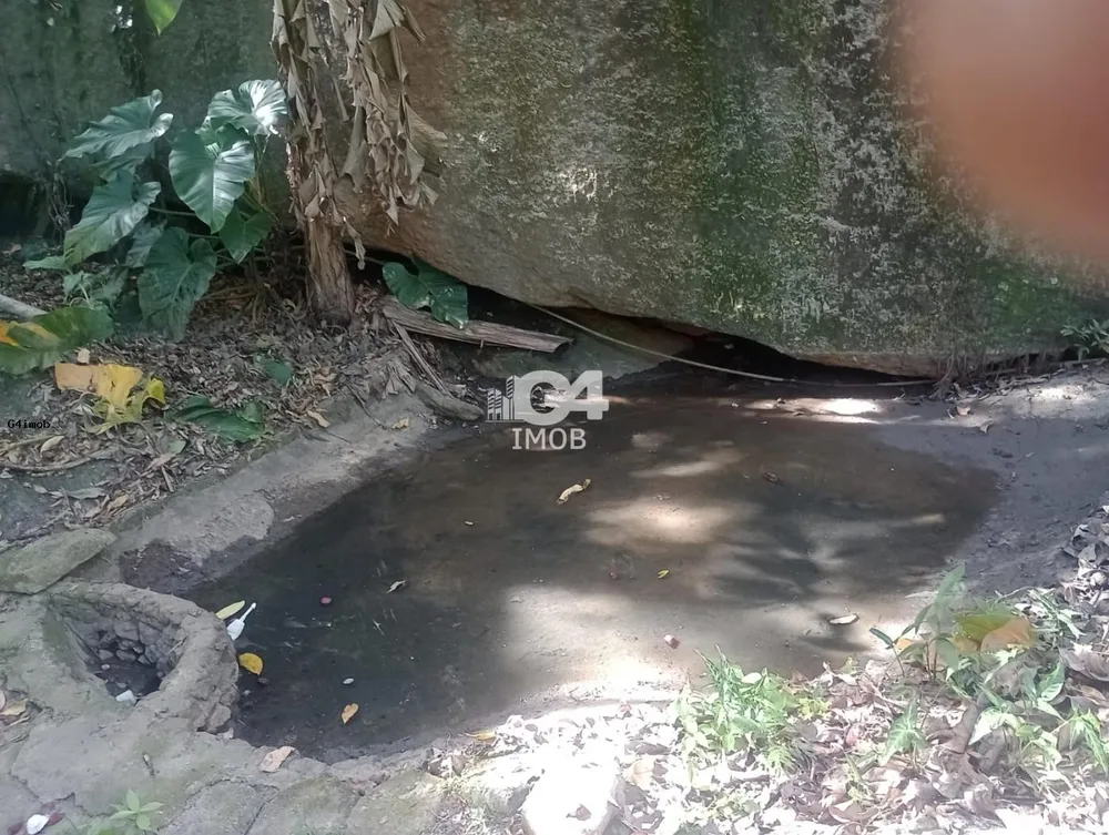 Terreno, 4 hectares - Foto 3