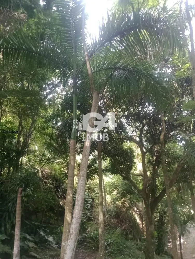 Terreno, 4 hectares - Foto 1