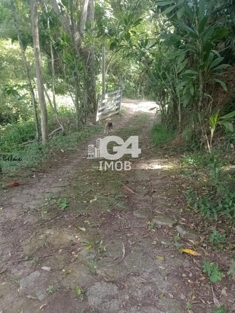 Terreno, 4 hectares - Foto 16