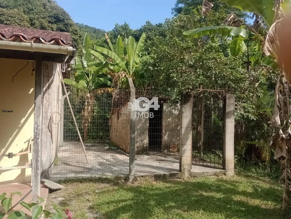 Terreno, 4 hectares - Foto 8