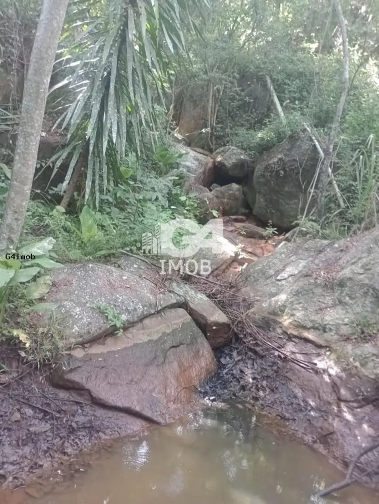 Terreno, 4 hectares - Foto 11