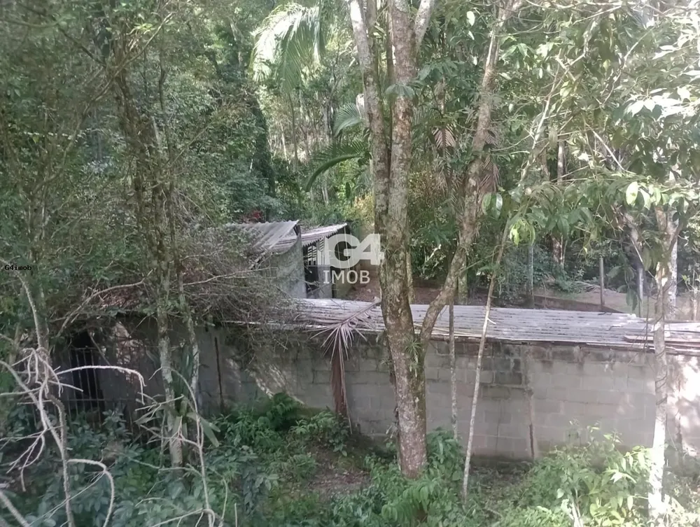 Terreno, 4 hectares - Foto 13
