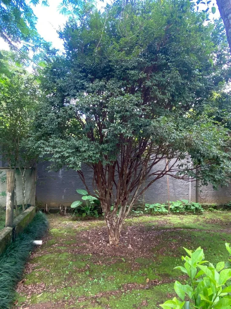 Casa, 3 quartos, 2000 m² - Foto 5