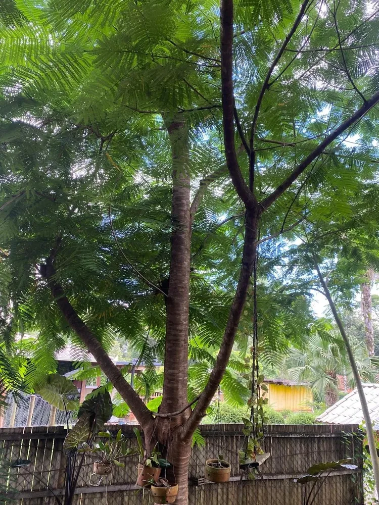 Casa, 3 quartos, 2000 m² - Foto 6