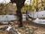 Terreno, 318 m² - Foto 2