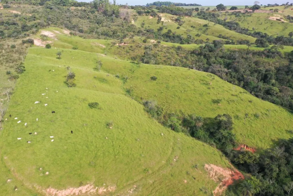 Fazenda, 3355 m² - Foto 4