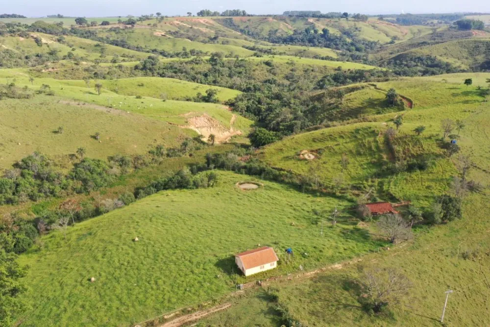 Sítio, 1 quarto, 3355 m² - Foto 16