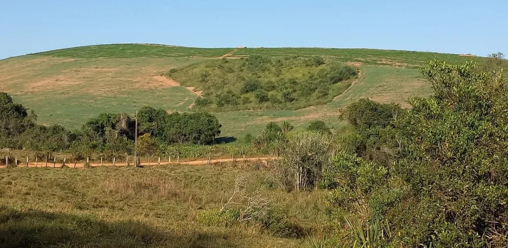 Fazenda, 182 hectares - Foto 8