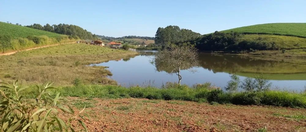 Fazenda, 182 hectares - Foto 12