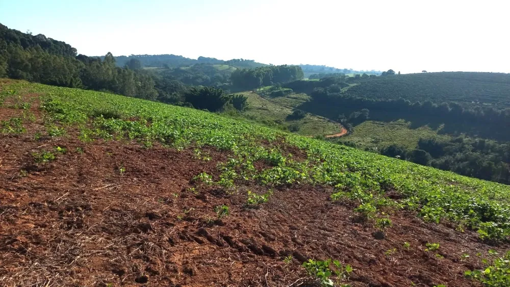 Fazenda, 182 hectares - Foto 6