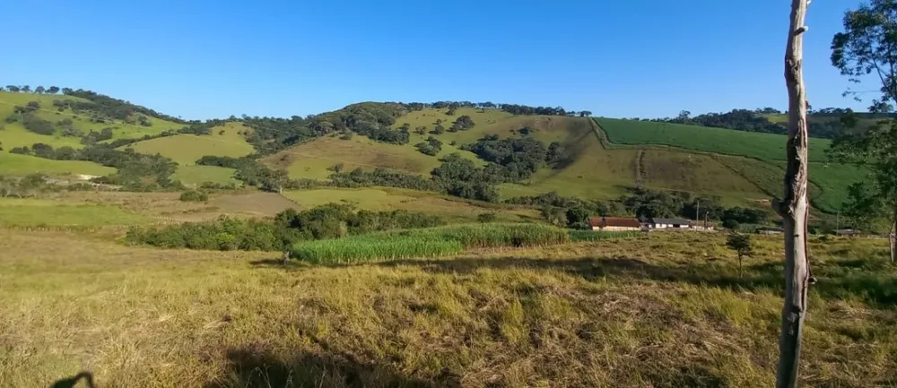 Fazenda, 182 hectares - Foto 4