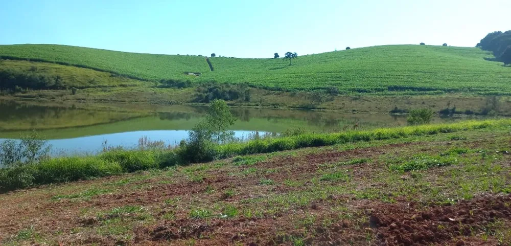 Fazenda, 182 hectares - Foto 5