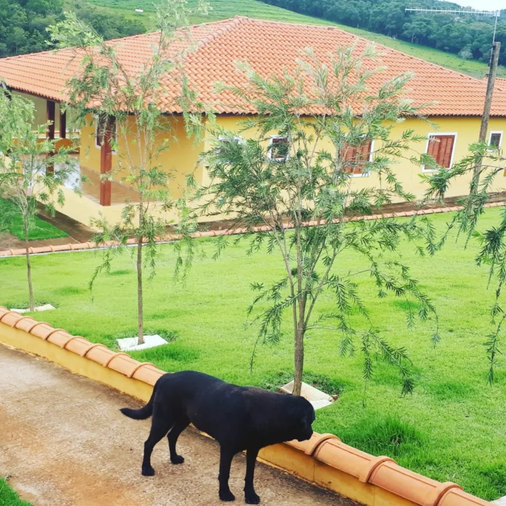 Fazenda, 182 hectares - Foto 17