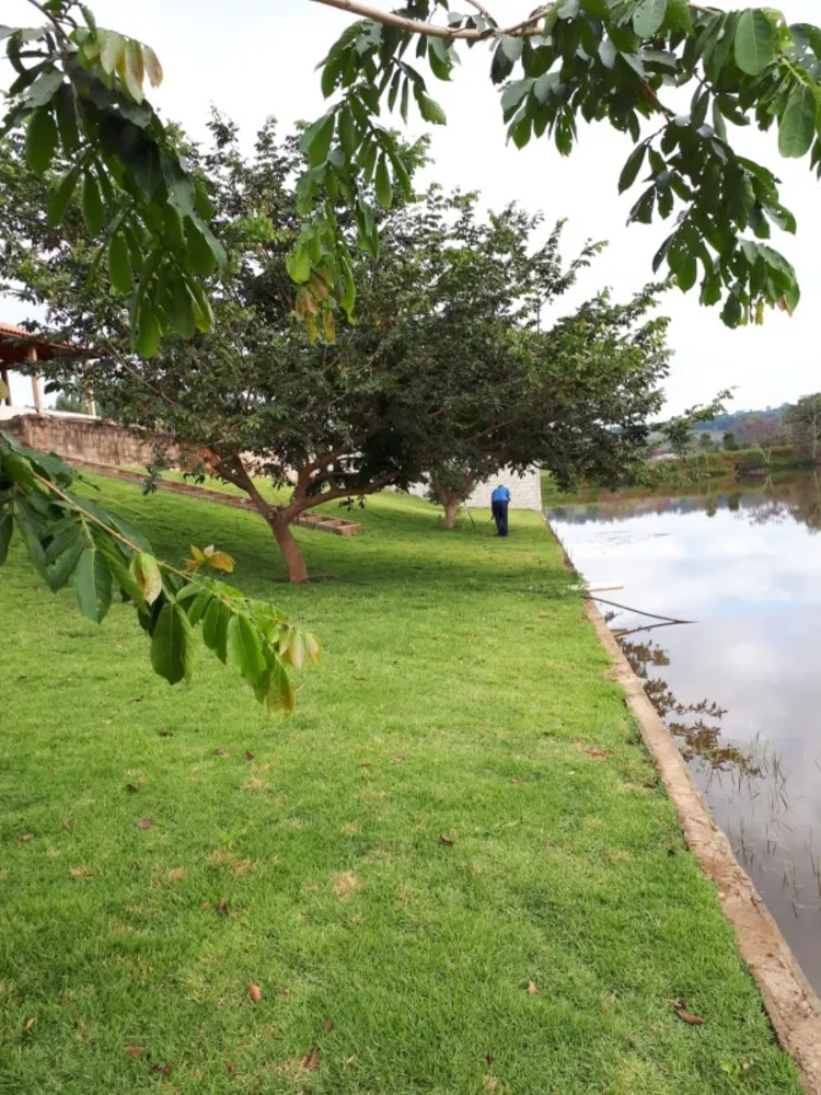 Fazenda, 182 hectares - Foto 24