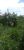 Terreno, 360 m² - Foto 4