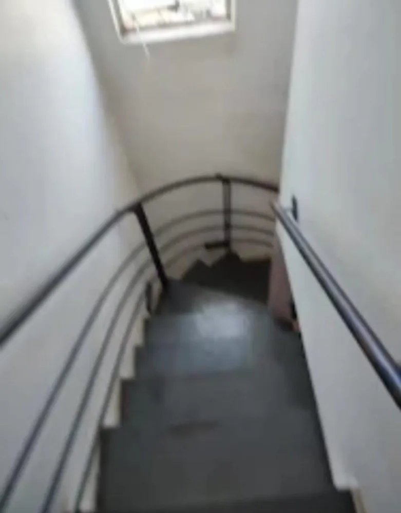 Casa, 3 quartos, 600 m² - Foto 5