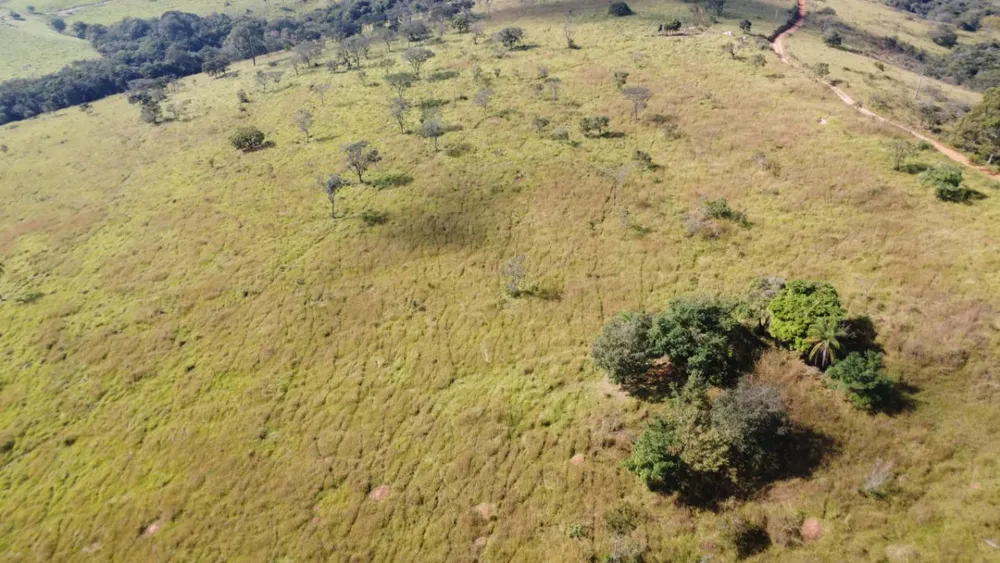 Fazenda, 1060 m² - Foto 2