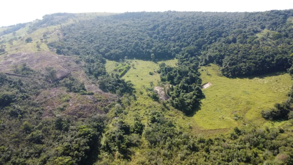Fazenda, 1060 m² - Foto 6