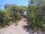 Terreno, 3150 m² - Foto 2