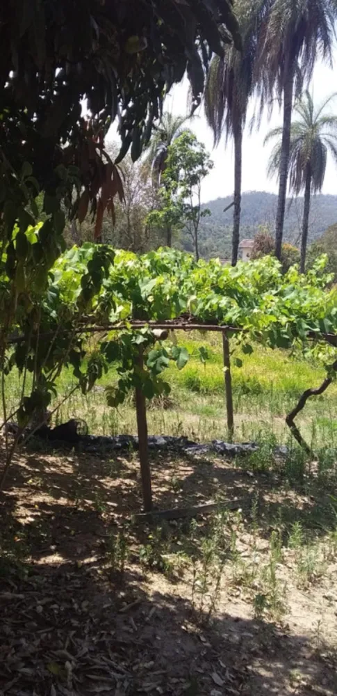 Sítio, 3 quartos, 2 hectares - Foto 1