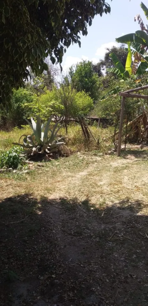 Sítio, 3 quartos, 2 hectares - Foto 4