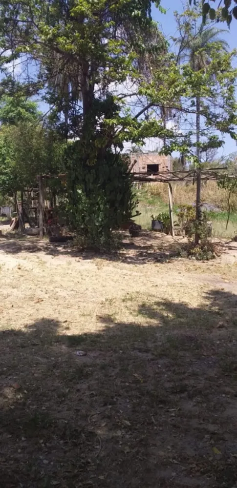 Sítio, 3 quartos, 2 hectares - Foto 9